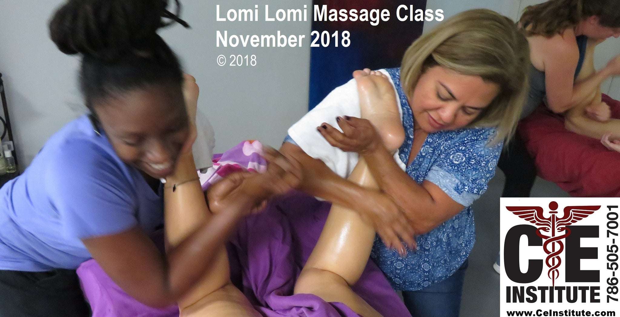 24 CE Hour Florida Massage Therapist 2019 License Renewal ...