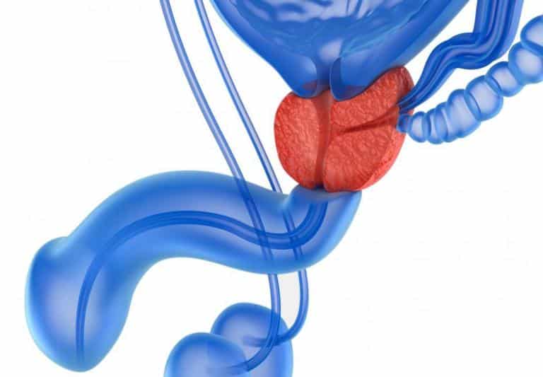 How Does Prostate Massage Therapy Cure Erectile Dysfunction