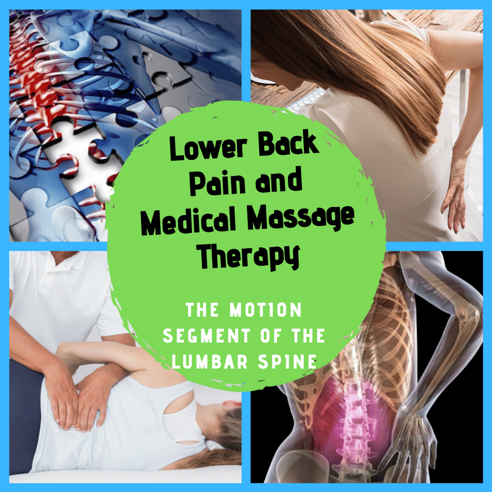 Lower Back Pain and Medical Massage Therapy: The Motion Segment of the ...